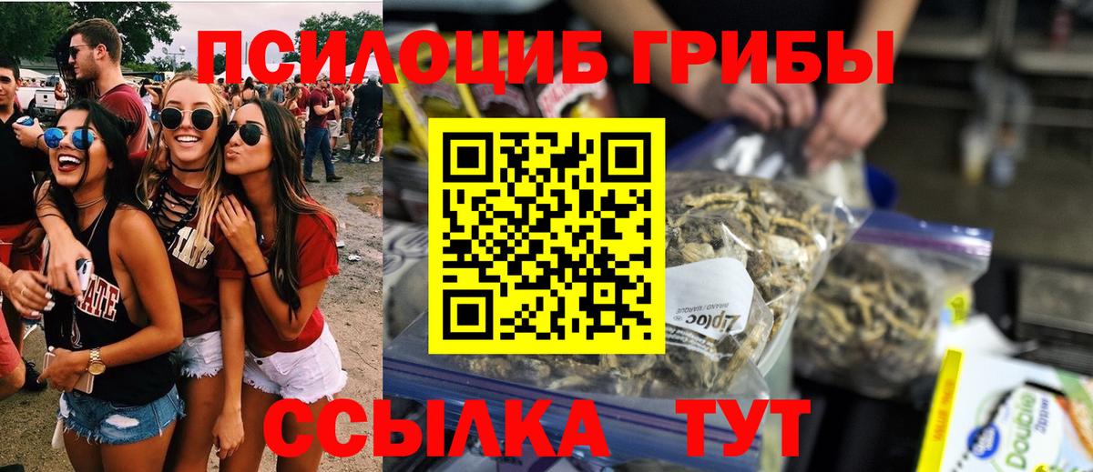Артёмовский  Псилоцибиновые грибы мухоморы  Вход с VPN 